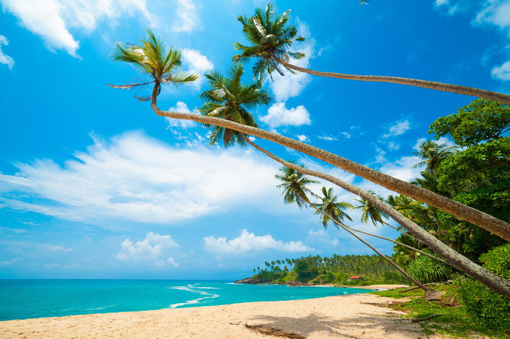 Hikkaduwa beach