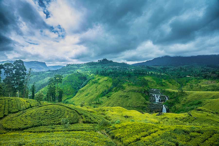 Horton Plains highlands