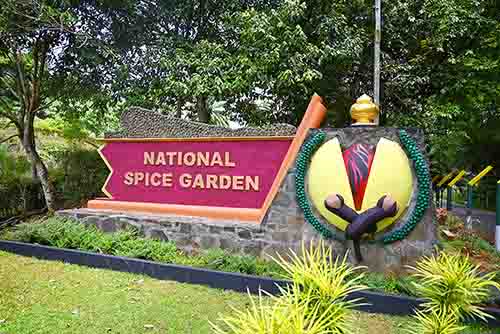 Herbal Spice Garden Matale