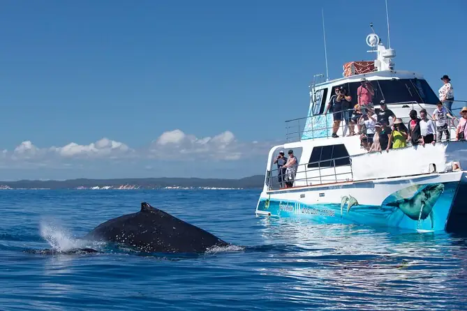 Blue whale watching excursion off the coast of Mirissa