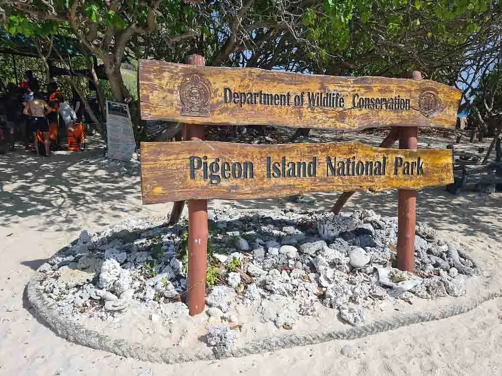 Snorkeling at Pigeon Island marine sanctuary