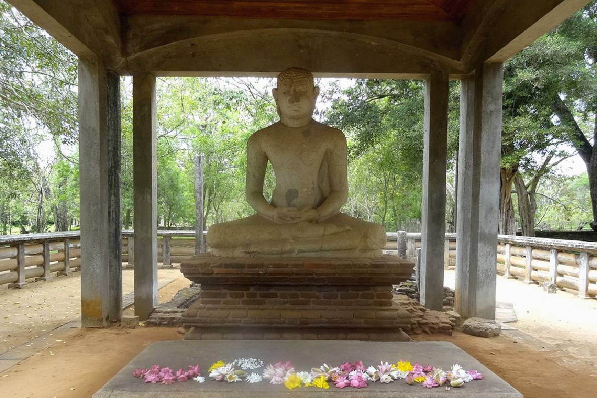 Sri Lanka – T 31