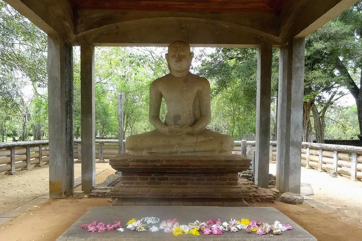 Sri Lanka – T 31