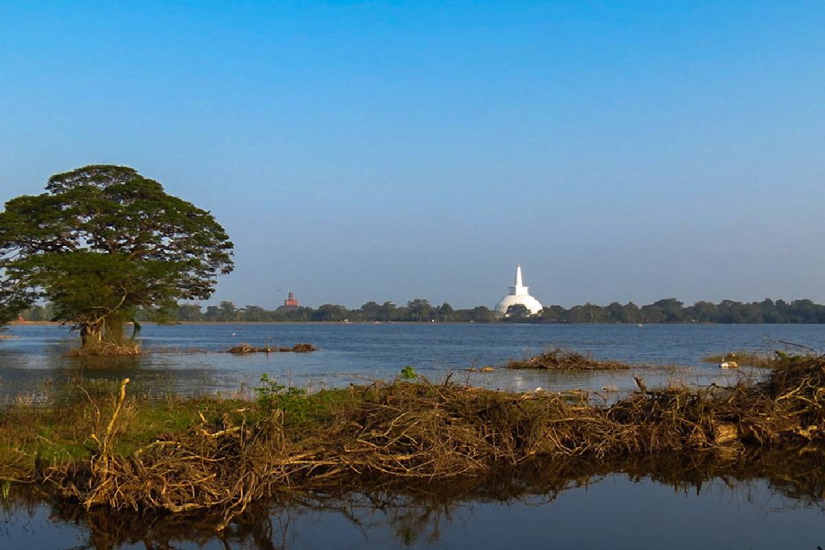Sri Lanka – T 33