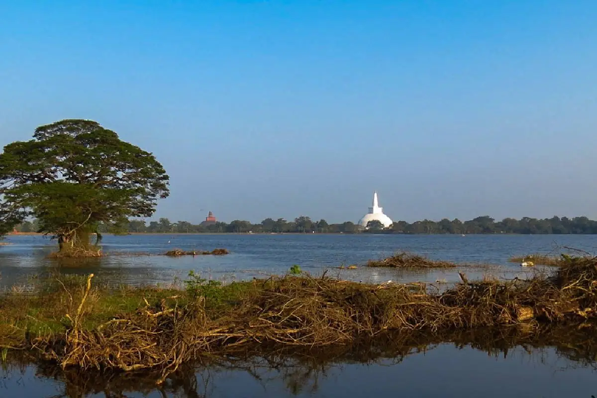 Sri Lanka – T 33