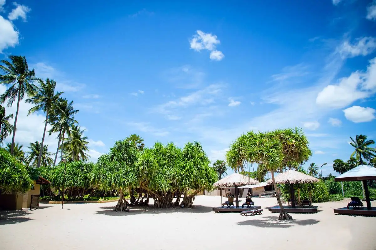 Sri Lanka – T 5